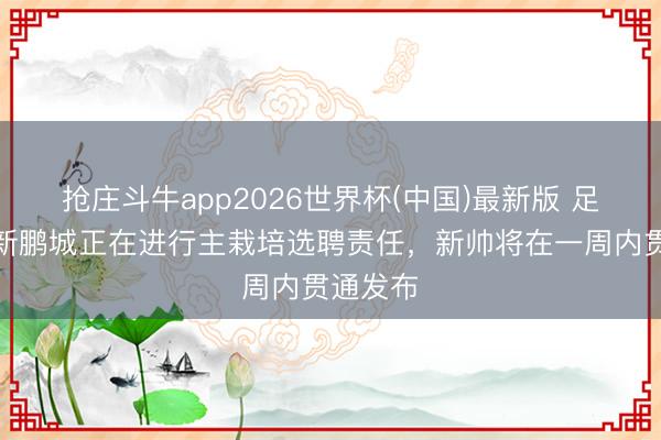 抢庄斗牛app2026世界杯(中国)最新版 足球报：新鹏城正在进行主栽培选聘责任，新帅将在一周内贯通发布