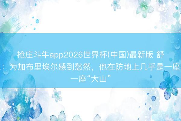 抢庄斗牛app2026世界杯(中国)最新版 舒梅切尔：为加布里埃尔感到愁然，他在防地上几乎是一座“大山”